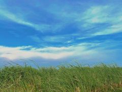 -白洋淀景区