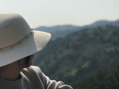 -木兰云雾山