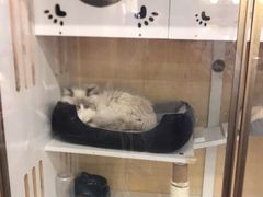 -老炮儿轰趴团建KTV桌游棋牌主题馆(五道口店（底商店))