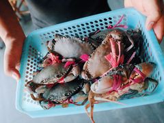 -瑞丽活螃蟹(芒市店)