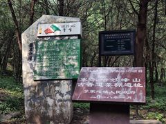 -北京鹫峰国家森林公园