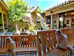 -创艺无限·赵春香微妙艺术馆