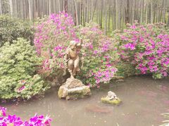 -杭州黄龙洞