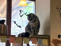 -隅cafe(傅厚岗店)