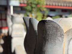 -真庆观