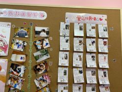 -doladola(徐家汇店)