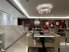 -郑州新郑国际机场T2航站楼-贵宾厅B区