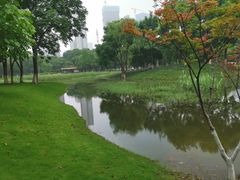 -后襄河公园
