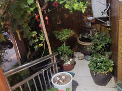 -臭鳜鱼人家·老字号徽菜