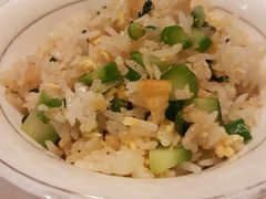 -金燕岛潮州酒楼