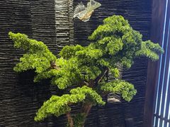 -上足·影院足道·SPA(红岭店)
