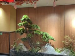 -饺子功·东北记忆·锅包肉(电厂路店)