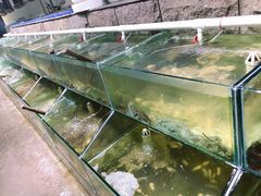 -海岸风情蒸汽海鲜自助餐厅(家宴金手勺店)
