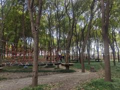 -嘉北郊野公园