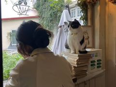 -海边的猫和咖啡馆