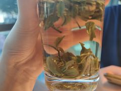 绿杨春-花园茶楼(兴城西路店)