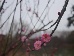 -南湖湿地公园