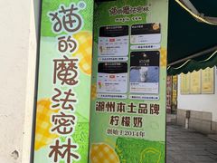 -猫的魔法密林(衣裳街店)