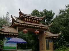 -三圣花乡旅游区