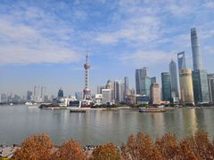 -新雅粤菜馆(南京东路店)