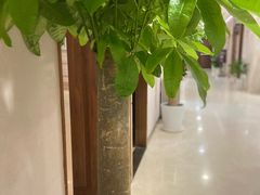 -瑞慈体检上海陆家嘴机构