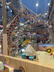 -卡通尼·Safari非洲探索乐园·生日会(金桥国际商业广场店)