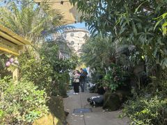 -The Grounds of Alexandria