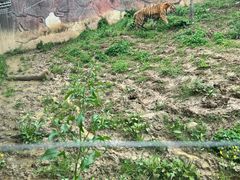 -无锡动物园·太湖欢乐园
