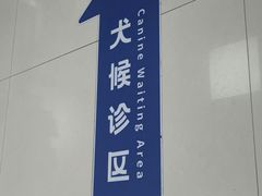 -申普宠物医院·心脏介入·心血管微创(总院)