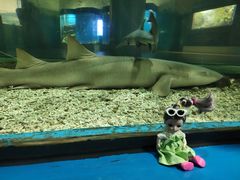 -福州罗源湾海洋世界旅游区