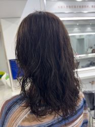 -镁连社·美联社