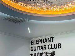 -大象音乐·吉他·架子鼓·声乐(双井店)
