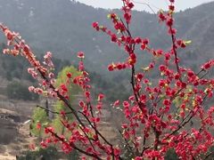 -苍岩山风景名胜区