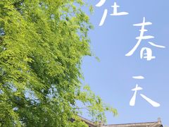 -重庆园博园