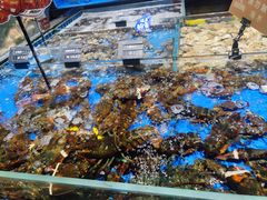 -徐记海鲜(大明宫|北二环店)