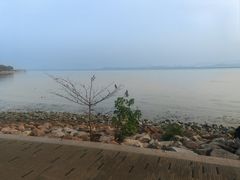 -深圳湾公园(南山区)