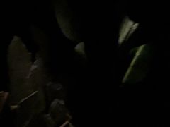 -避尘Bsense·SPA(太古里旗舰店)