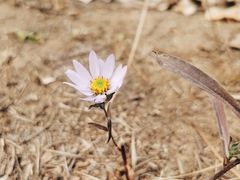 -百里山水画廊