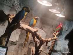 -Zoolung Zoolung动物主题公园(海信广场店)