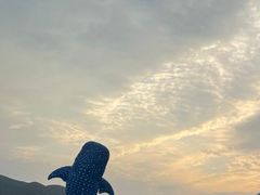 -珠海长隆海洋王国