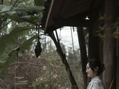 -乐领拈花溪·林涧食韵