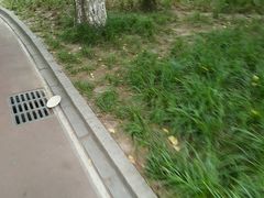 -宣武艺园