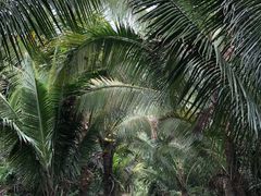 -七仙岭温泉国家森林公园