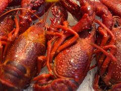 -袁老大龙虾(石鼓路总店)