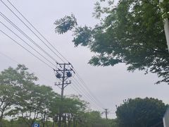 -贡湖湾湿地公园