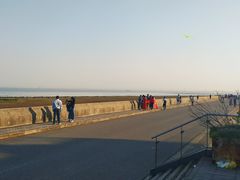 -南汇嘴观海公园