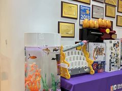 -爱威盛亲子俱乐部·纽约国际早托中心