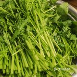 写食12111