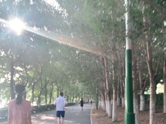 -长白岛森林公园