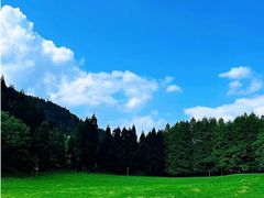 -武陵山森林公园